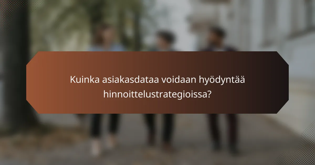 Kuinka asiakasdataa voidaan hyödyntää hinnoittelustrategioissa?